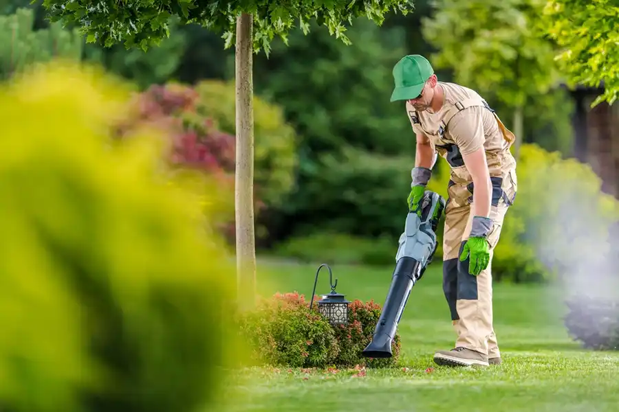 How To Clean A Backyard Deltona, FL