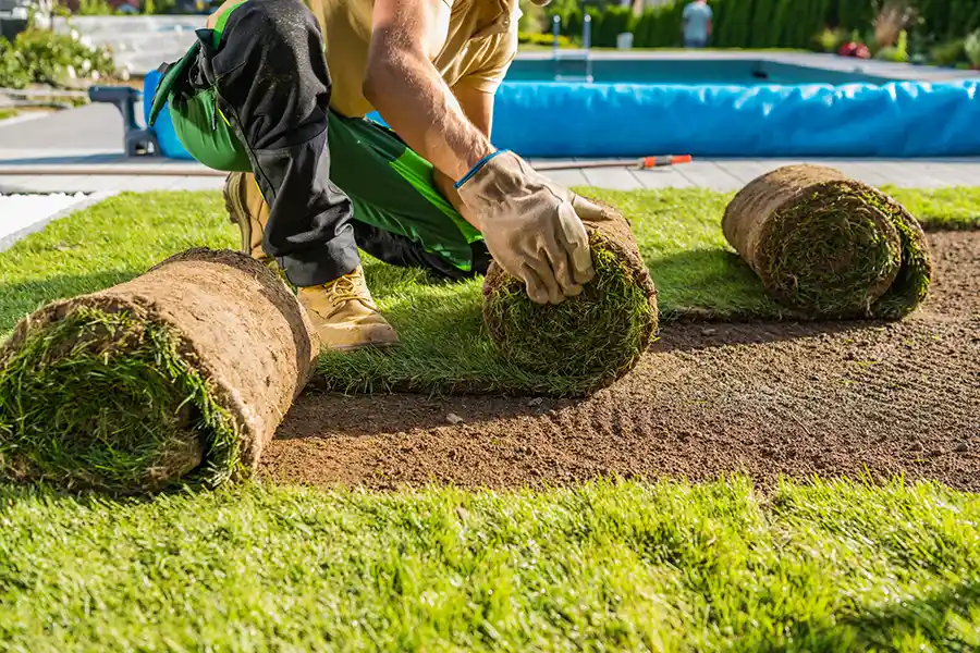 How long after installing sod can you walk on it in Deltona, FL