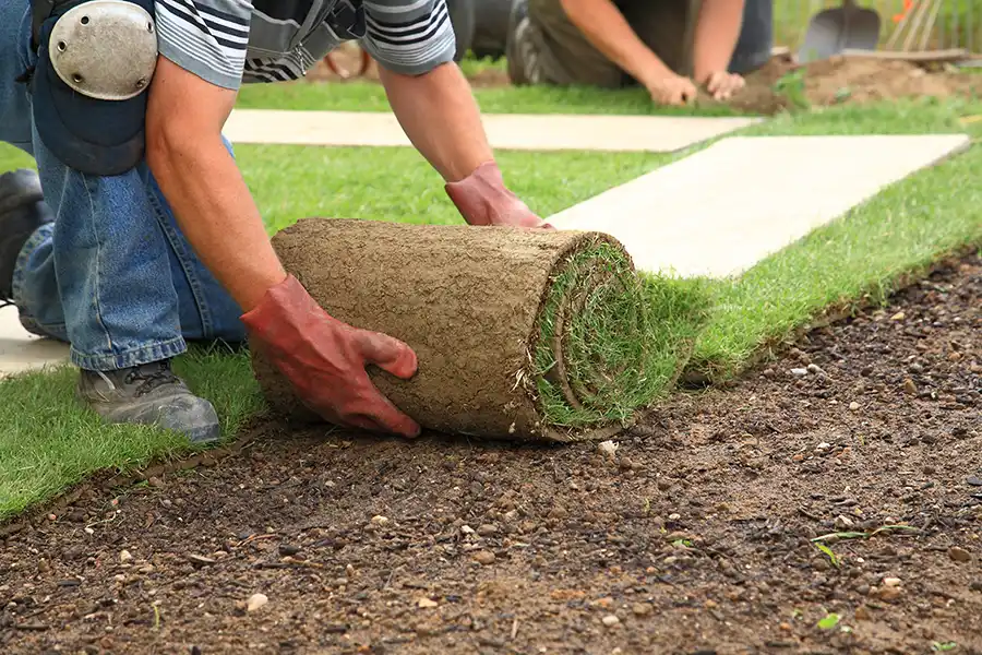 How long after installing sod can you walk on it Deltona, FL