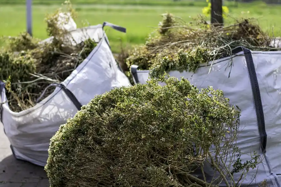 How to clear a yard full of weeds in Deltona, FL