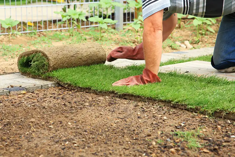 How to lay sod over existing lawn in Deltona, FL