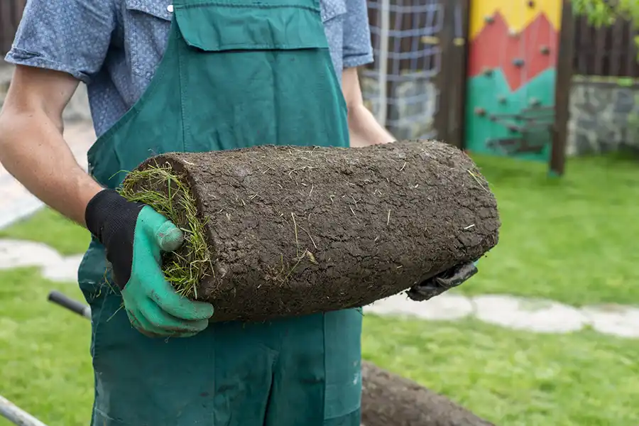 How to lay sod over existing lawn Deltona, FL