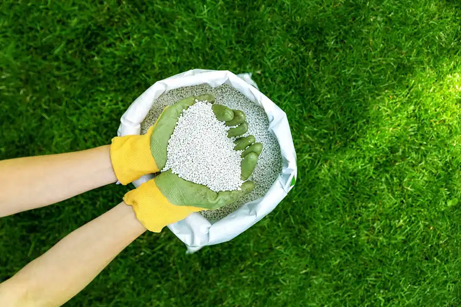 When is the best time to fertilize your lawn Deltona, FL