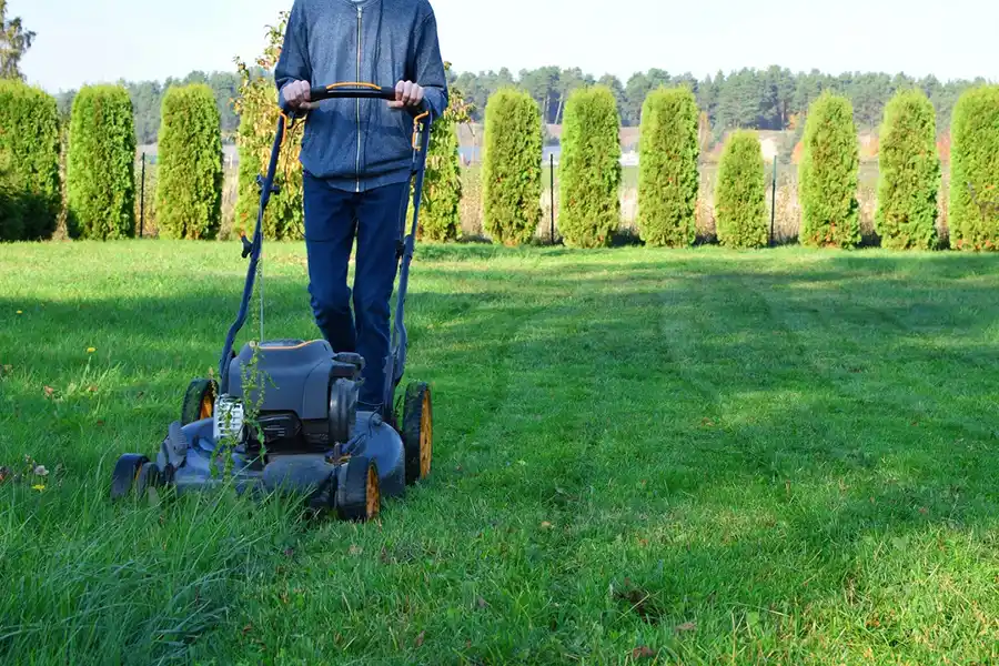 Efficient Lawn Mowing in Deltona, FL