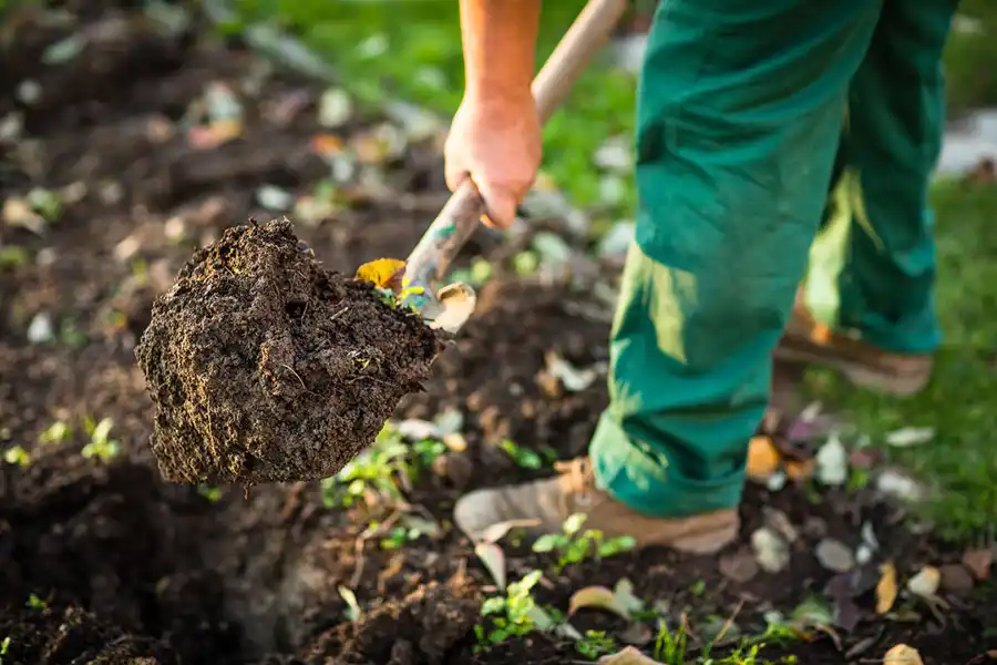 Reliable Mulching in Deltona, FL