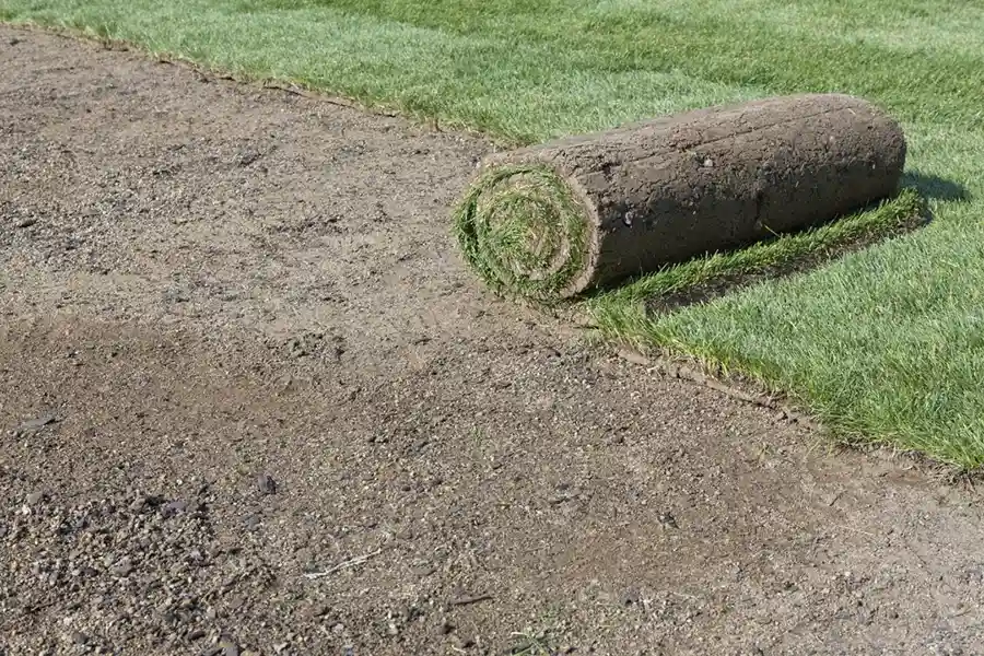 Efficient Sod Installation in Deltona, FL