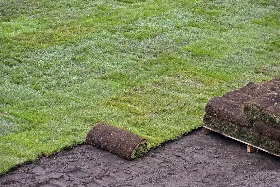 Best Sod Installation in Deltona, FL