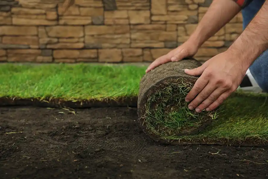 Reliable Sod Installation in Deltona, FL