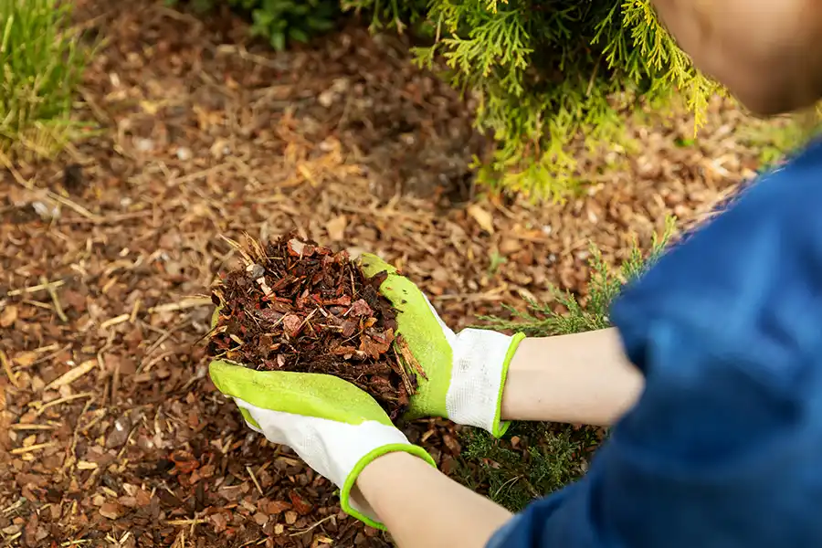 What does mulch do in Deltona, FL