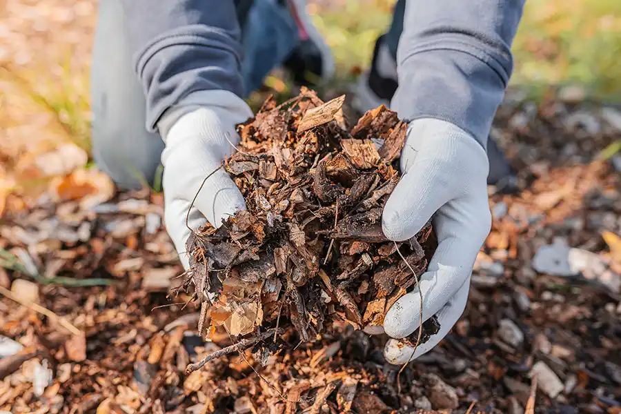 What does mulch do Deltona, FL