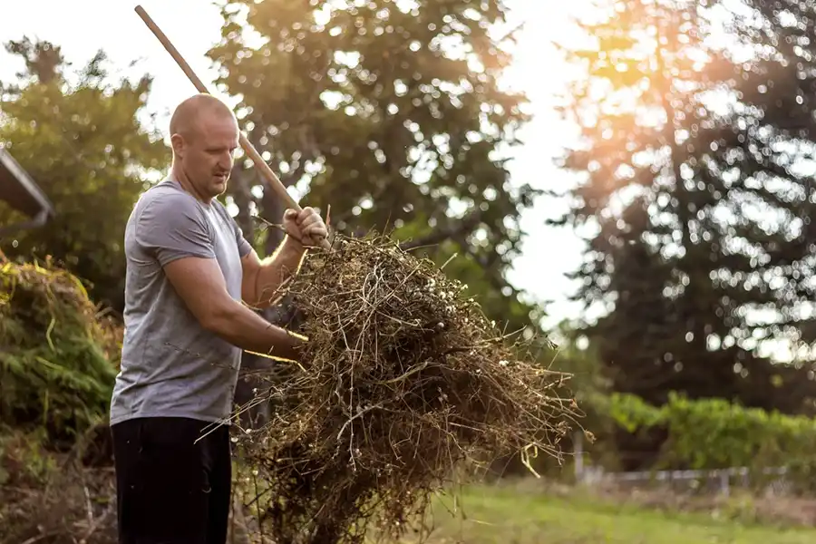 Efficient Yard cleanup in Deltona, FL