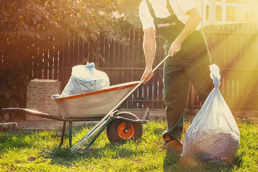 Best Yard cleanup in Deltona, FL